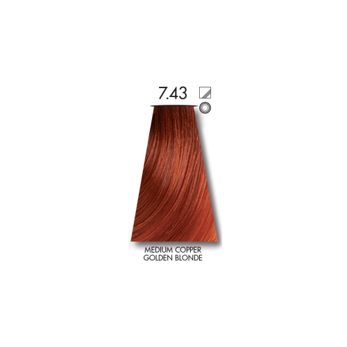 Tinta Medium Copper Golden Blonde 7.43