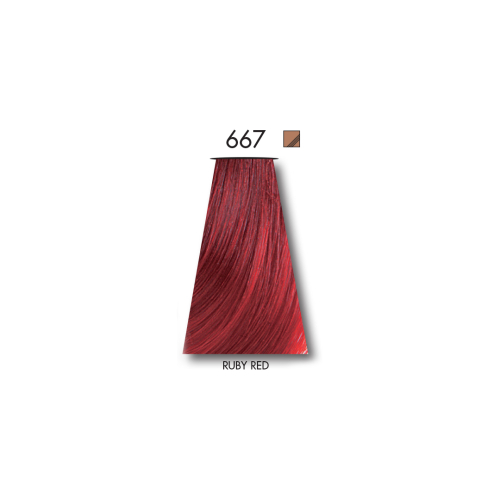 Tinta Lift and Color Ruby Red 667